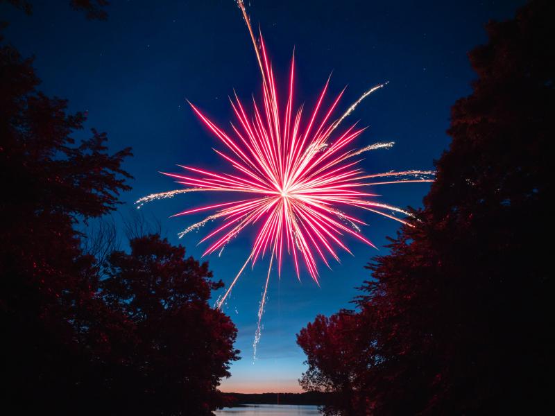 Viele Hunde und Katzen haben Angst vor Feuerwerk